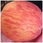 walkin' on the beaches, lookin' at the - 2025 08 13