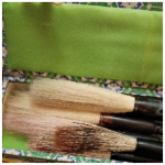 brushes - 2025 11 24