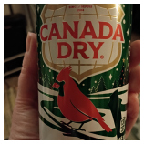 ginger ale - 2026 01 04